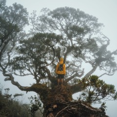 Darren Dofitas Lopez