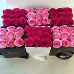 هاله حسني