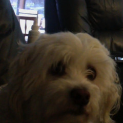 eamon