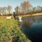Wout