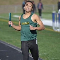 baylorthesensei