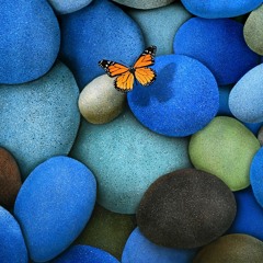 Todd Berrington-Smith