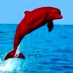 FUKUSHIMA DOLPHIN