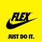 sir flex allot
