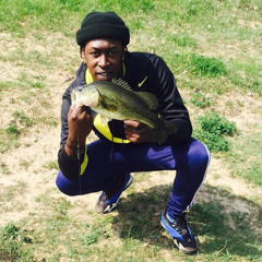 BassBro Reck