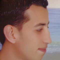 mansour mostafa