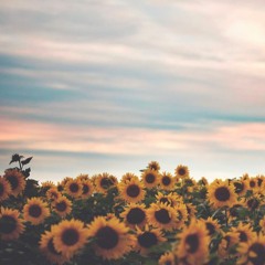 SOFIAXXBLOG (SofiaxxBlog)