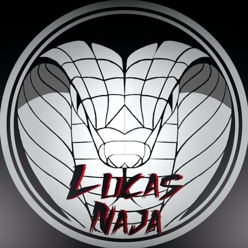 Lucas Naja’s avatar