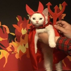 hellkidden