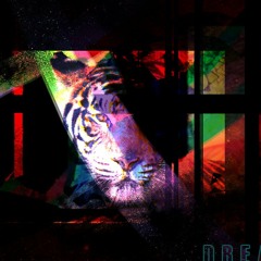 Dreamo