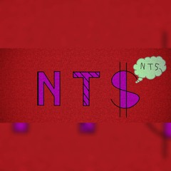 N.T.$.