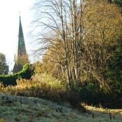 deepening the self compassionate image