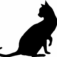 MARU(VELLAELMS / ShibuyaMilkyway)