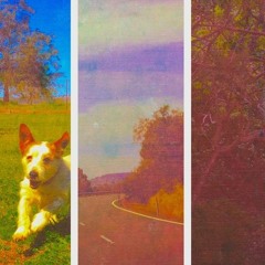 James Walmsley Music