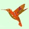 Humming Birds