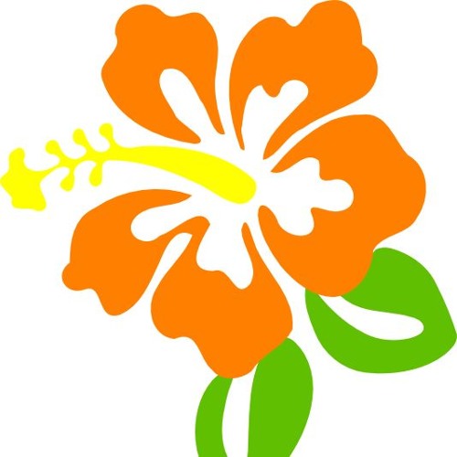 Orange Blossom Records’s avatar
