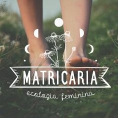 Matricaria - Ecologia feminina - Perfil II