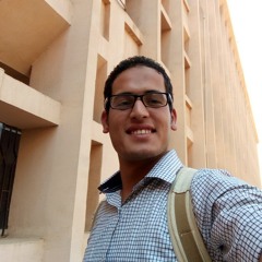 محمد الليثي