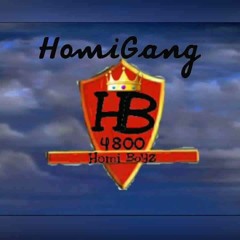 Homi Boyz 4800