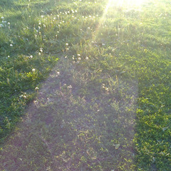 Алексей Рыбников – Размышления (Из к-ф Дневник Карлоса Эспинолы)_(muzzila.ru).mp3