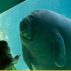 Georgiy Bogolyubskiy