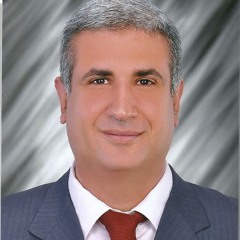 Mohamed Elshaaer