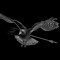 The Airborne Toxic Event