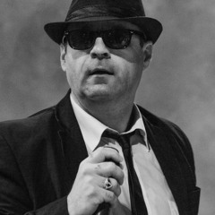 No.1 BLUES BROTHERS TRIBUTES by the Blue Onions