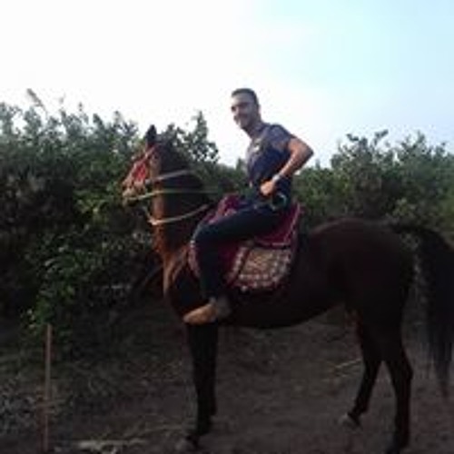 Mustafa sabet’s avatar