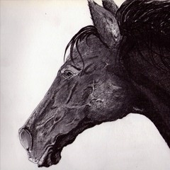 Jimena Gonzalez Bustos