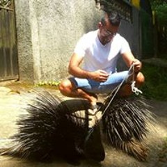 jbarghou