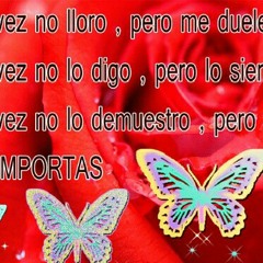 User 306244290