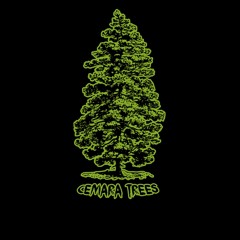 Cemara Trees