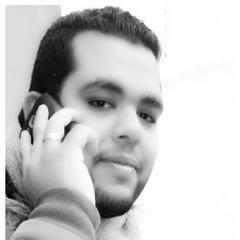 Ahmed Ossama Hasanin