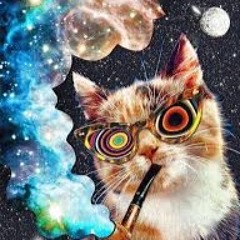 completelyinsaneparadox