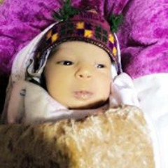 Amir G Amir