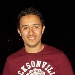 Mohamed M. Abdel Aty