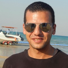 Amr Elshamy