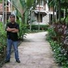 User 800552526