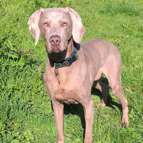 Remember The Clocks (Mashup)