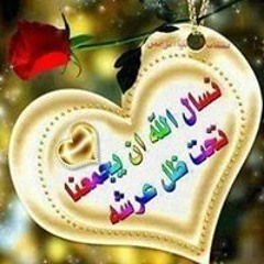 محمد على شتا