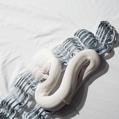 Zodiac