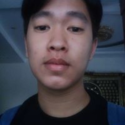 Nguyen Viet Hoang’s avatar