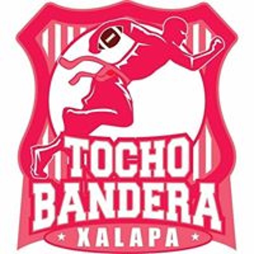 Tocho Bandera Xalapa’s avatar