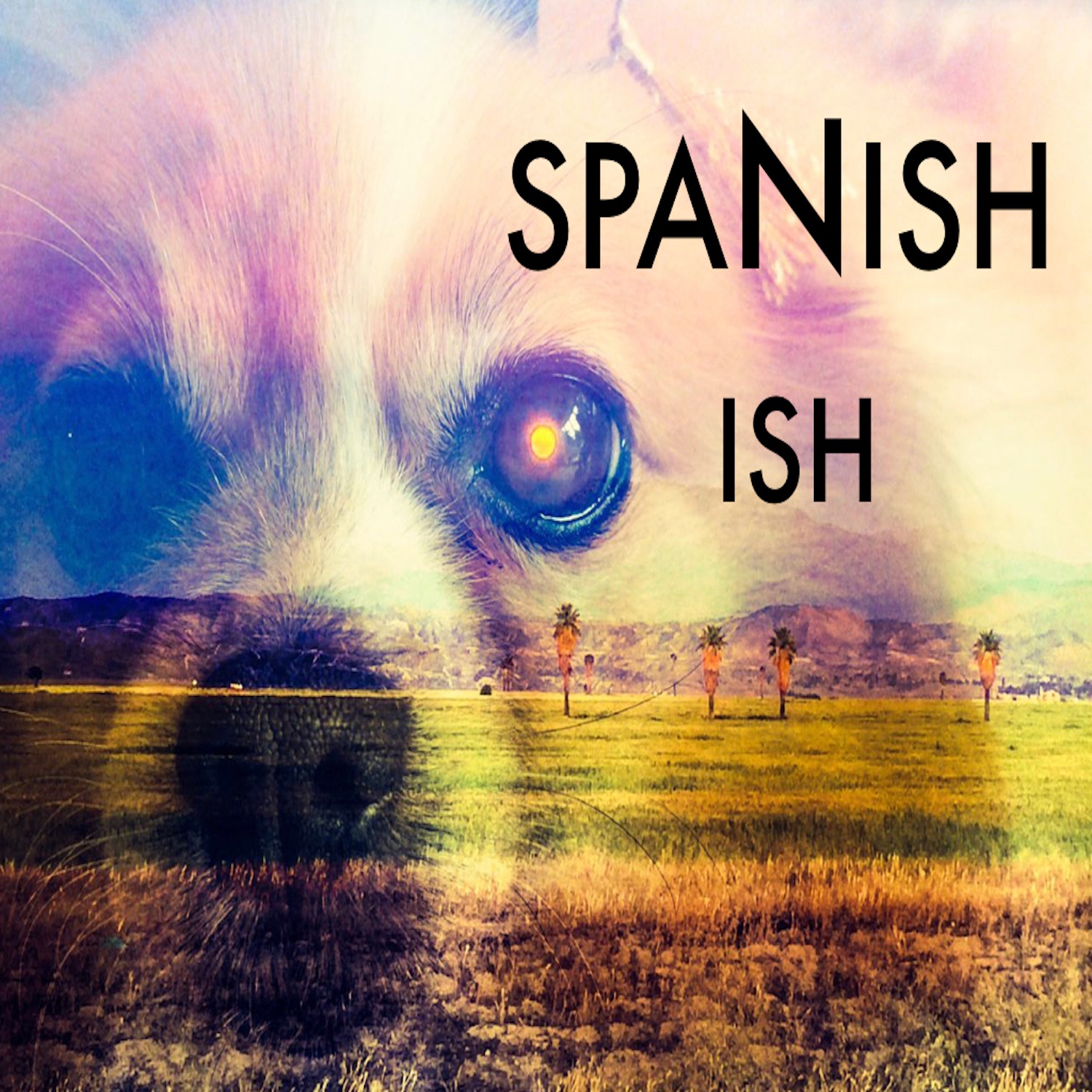 SPANISH ISH