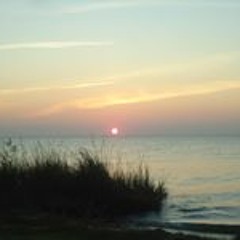 Sheryl Dacenzo Mowbray