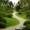 احمد مصطفى