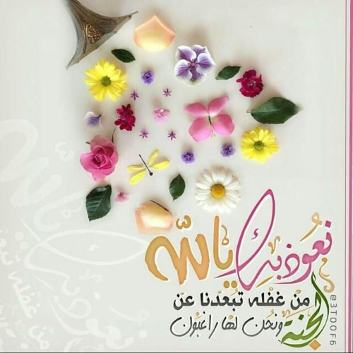 انشودة رائعة - هو الحب 🌼- عبدالرحمن الخضر