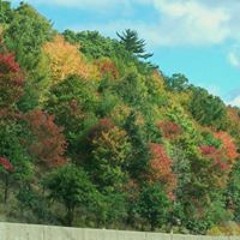 Cathy Woodcock Kershaw