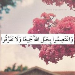Mayar Elsayed